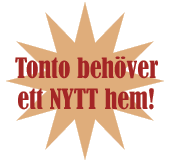 Tonto behöver ett nytt hem